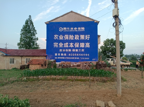 延津县墙体广告为何受追捧?